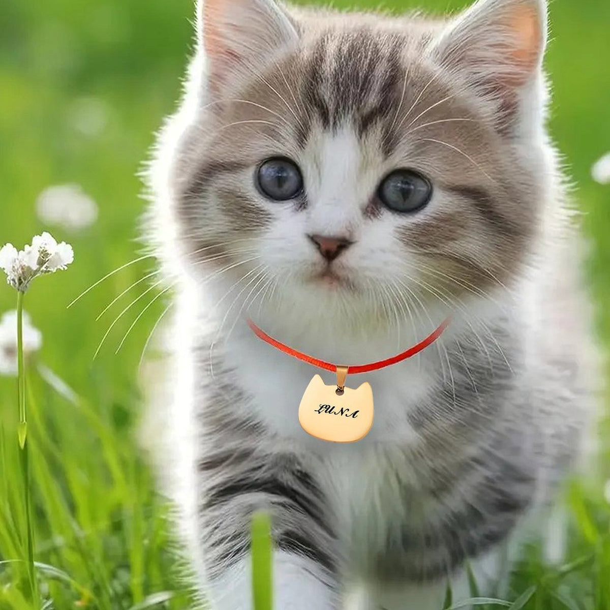 Personalized Pet Name Tag