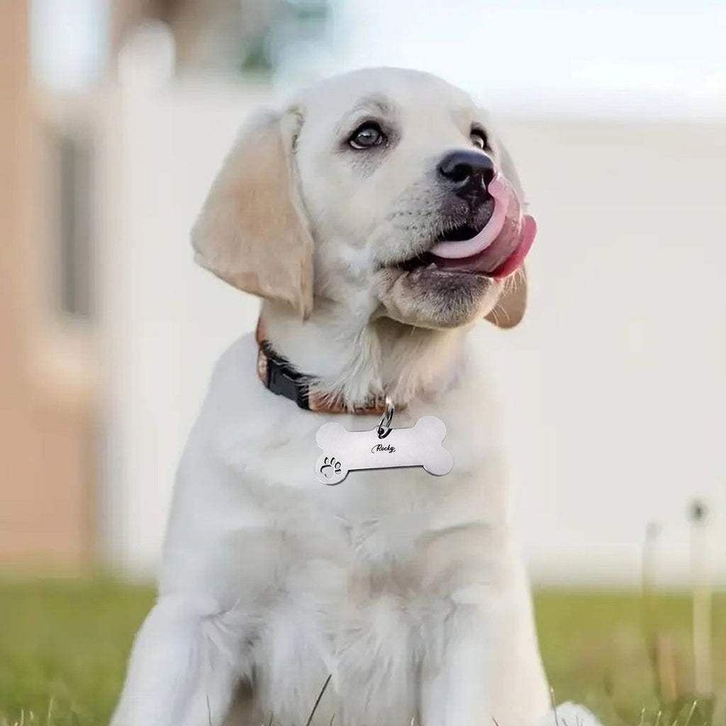 Personalized Pet Bone ID Tag