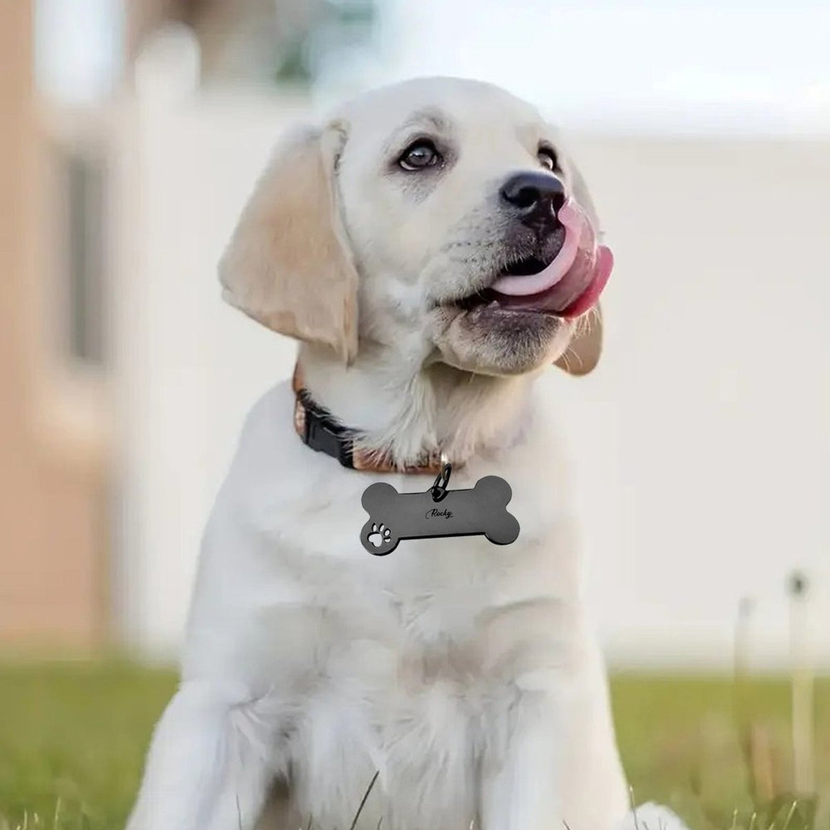 Personalized Pet Bone ID Tag