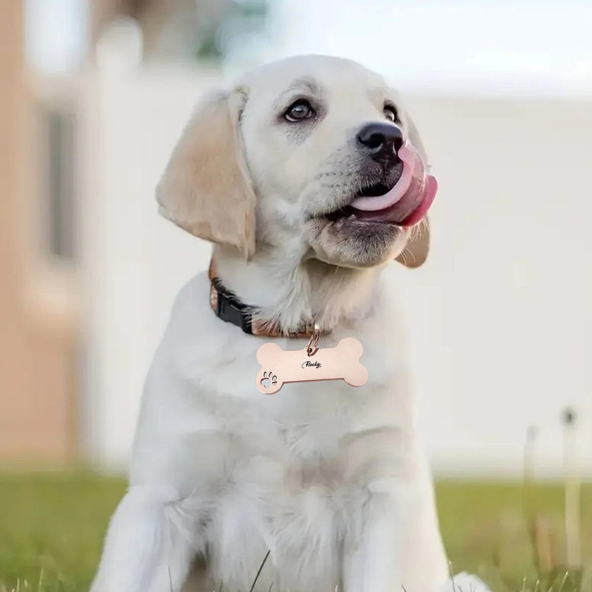 Personalized Pet Bone ID Tag